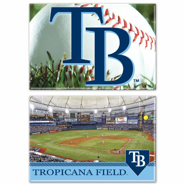 Tampa Bay Rays 2-Pack Rectangle Magnet