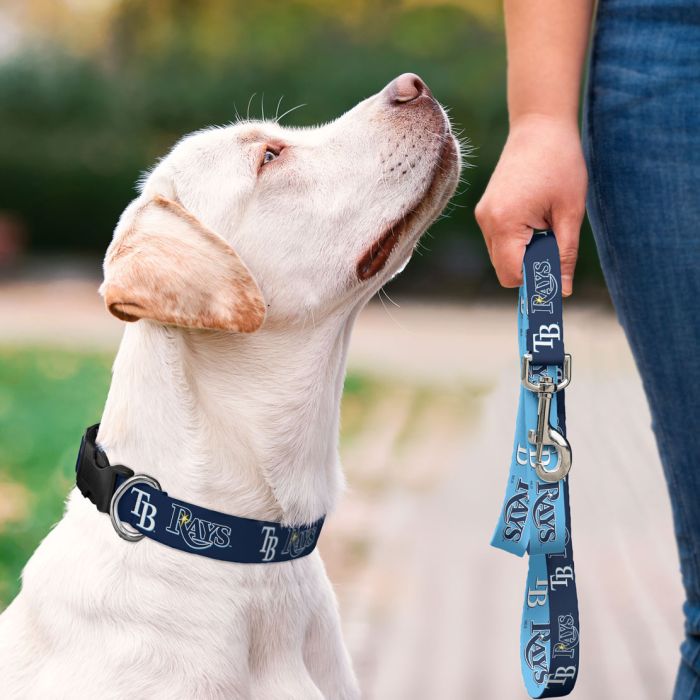 Tampa Bay Rays Pet Leash