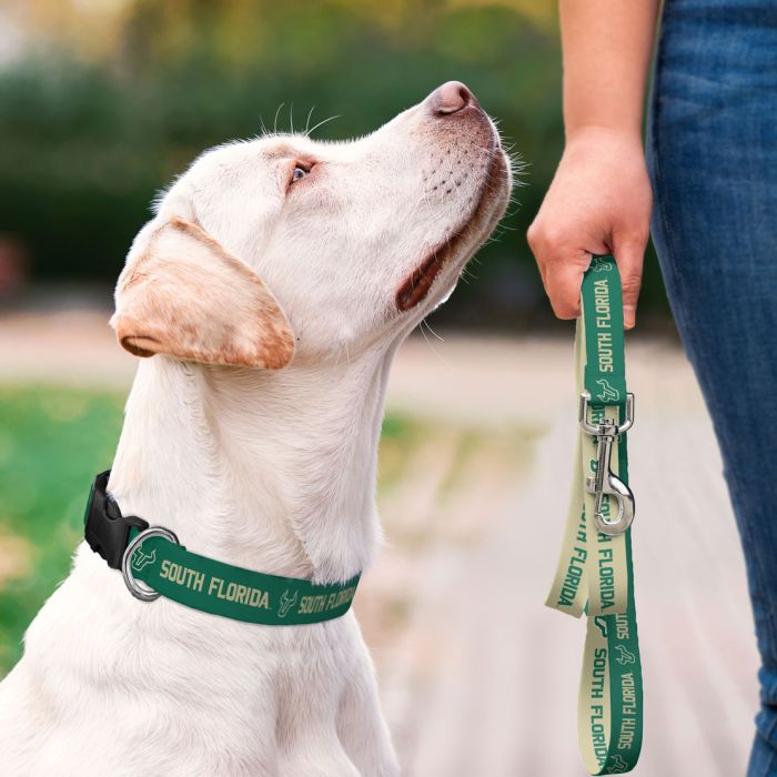 USF BULLS Pet Leash