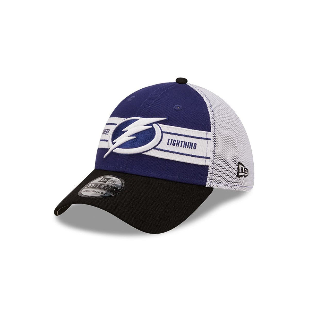 Tampa Bay Lightning New Era 39Thirty Flex Fit Team Banded Hat