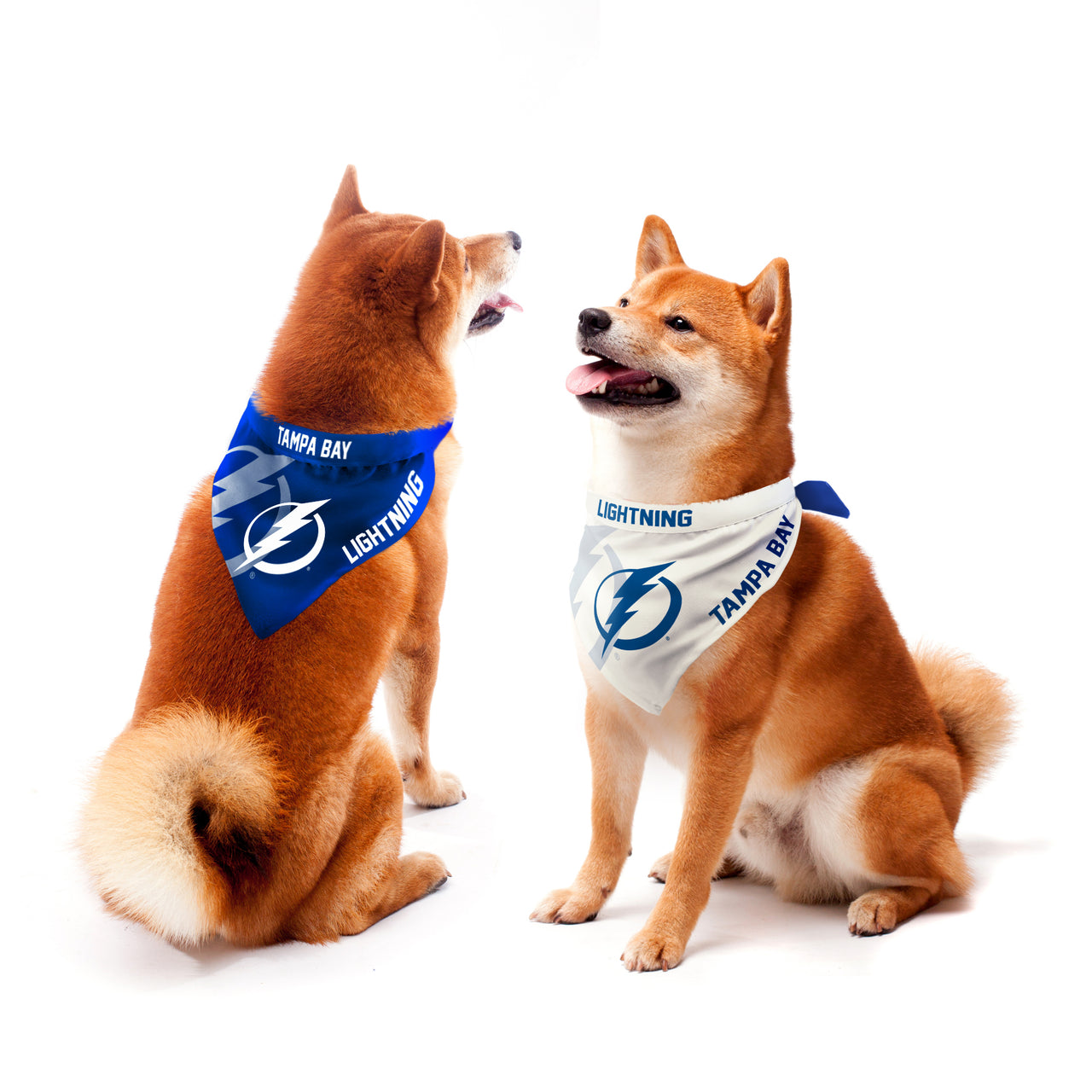 Tampa Bay Lightning 2-Pack Pet Bandana Set