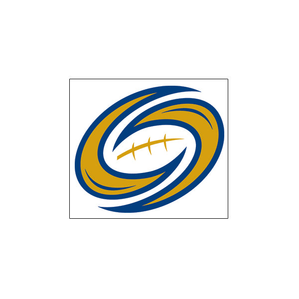 Tampa Bay Storm Primary Logo 4x4 Magnet