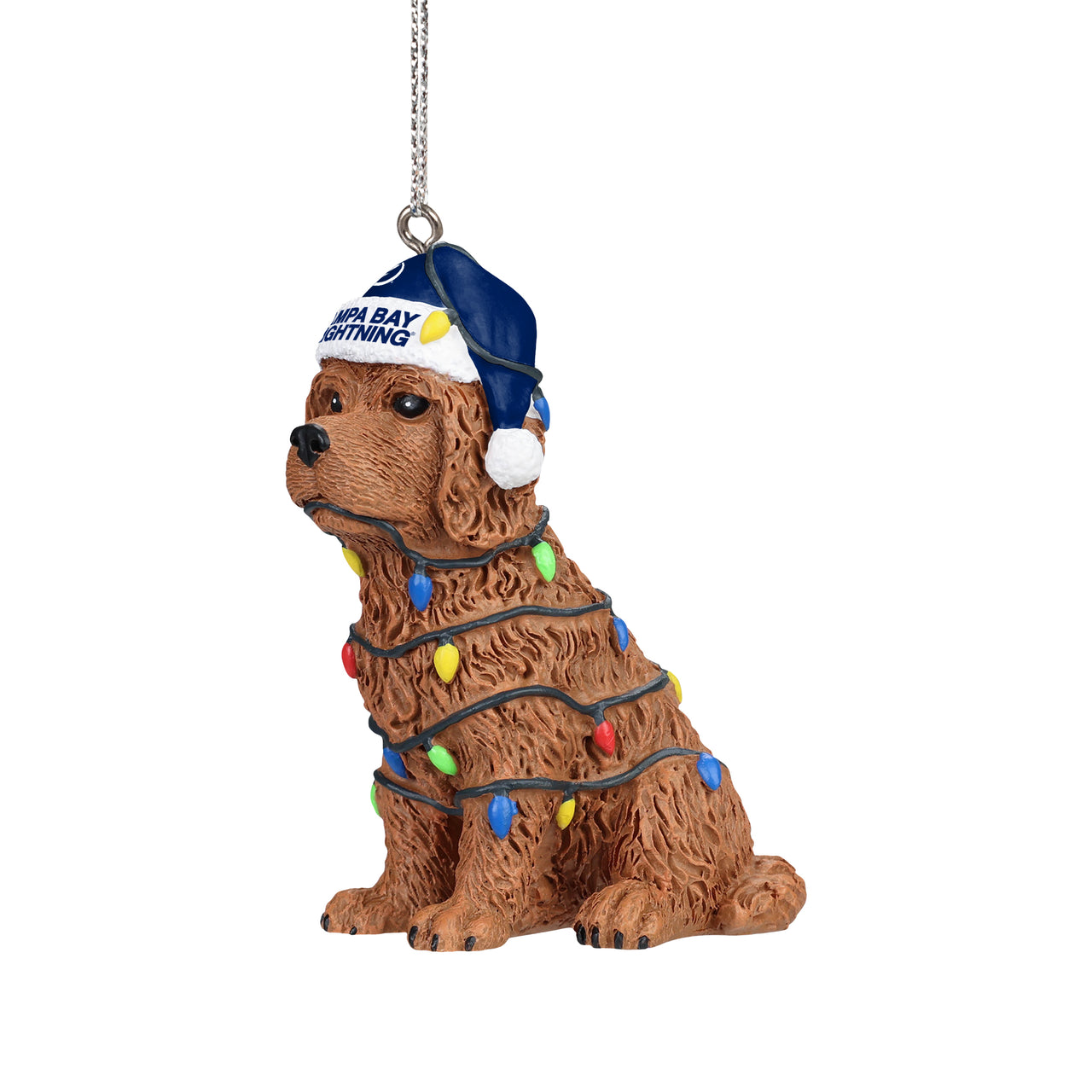 Tampa Bay Lighting Dog with Lights Ornament